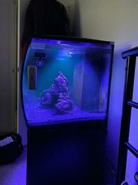 Marine Tank Set up All included