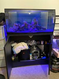 Marine Tank Set up All included