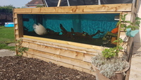 LARGE FISH REQUIRED CASH /DONATE -TANK FOR LIFE
