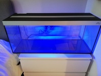 Hugo Kashimi Simplicity Aquarium 36x12x15 (22.5 gallons) Less than a few weeks old.