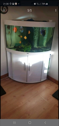 Juwel 190 litre Triton corner tank