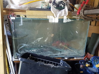 Fish tank