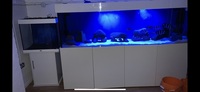 8ft Aquarium