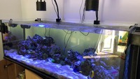 tank contents for sale