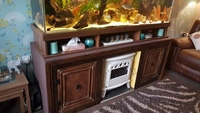 6ft tropical fish tank