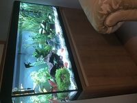 Fluval 240