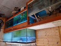 Sale - Sump/tanks full system all included - £350. Havant.