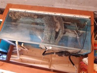 Sale - Sump/tanks full system all included - £350. Havant.