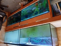 Sale - Sump/tanks full system all included - £350. Havant.