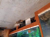 Sale - Sump/tanks full system all included - £350. Havant.