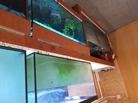 Sale - Sump/tanks full system all included - £350. Havant.