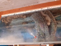 Sale - Sump/tanks full system all included - £350. Havant.