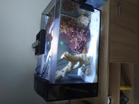 EVO AQUARIUM FLUVAL MARINE 57L REDUCED