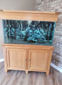 Aqua Oak 340l full tank set up, lots of accessories