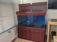 £280 FISH TANK 4×2×2 £280
