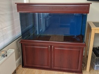 £280 FISH TANK 4×2×2 £280