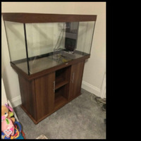 fish tank 300 litre jewel