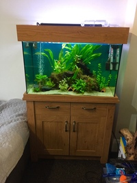 140 litre aqua oak aquarium