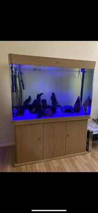 4ft fishtank