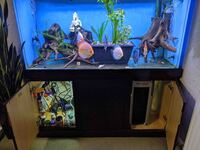 Fish Tank For Sale, Cardiff
