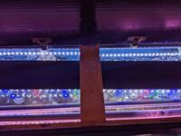 Fish Tank For Sale, Cardiff