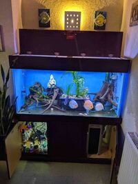 Fish Tank For Sale, Cardiff