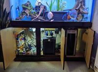 Fish Tank For Sale, Cardiff
