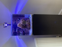 Marine Aquarium complete setup