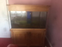 Solid oak fish tank