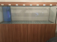 HELP LOOKING FOR HELP ON AQUARIUM SETUP