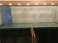 HELP WANTED AQUARIUM SETUP