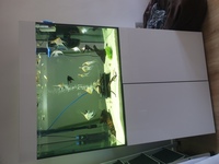 Fish tank