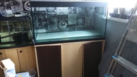 FLUVAL ROMA 200 LITRE