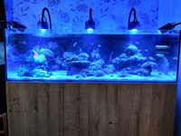 EA Reef 1500 Complete Reef for Sale