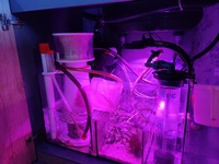 EA Reef 1500 Complete Reef for Sale