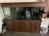 Fish tank and Cabinet for sale