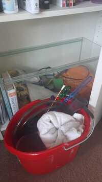 3ft Clearseal tank setup for sale - bargain £50 incl cabinet & extras