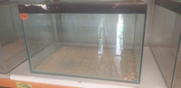 Fish tanks for sale 2 foot, I have 15