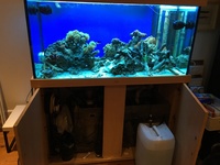 4 ft x 2 ft nd aquatic tank marine for sale needs to asap cheap to sell