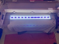 GOING FAST ONLY 1 LEFT/NEW BARGAIN £30 very very bright/light 120 L.E.D.S/ new bargain,day light and blue evening lite 120 L.E.D lights