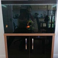 130l aquarium and cabinet