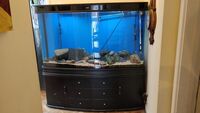 Large Tropical Fish Tank for sale (greater than 600 litres)