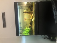 125L tank