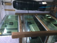 Full fish room set up