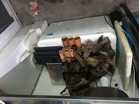 Full fish room set up