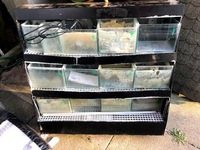 FREE Used BETTA rack