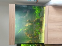 Juwel lido 120 Aquarium - Complete Set Up .