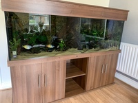 Full 6 ND Aquatics Aquarium setup, Filters, Fish & more £850.00 o.n.o