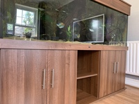 Full 6 ND Aquatics Aquarium setup, Filters, Fish & more £850.00 o.n.o