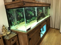 8ft x 2ft x 2ft Fish Tank